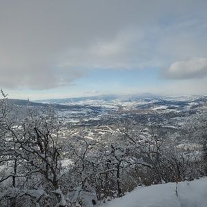 Meet your Posher, Jake